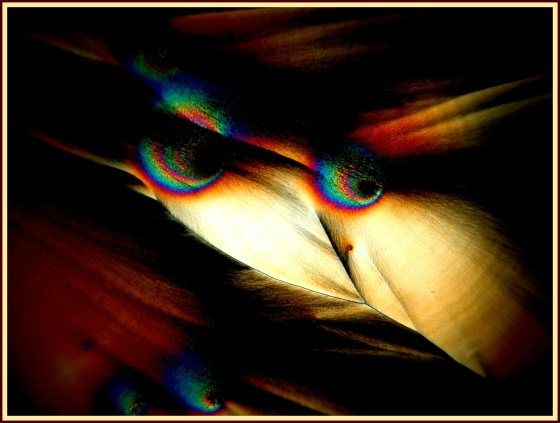 Ascorbinsäure (VitaminC)