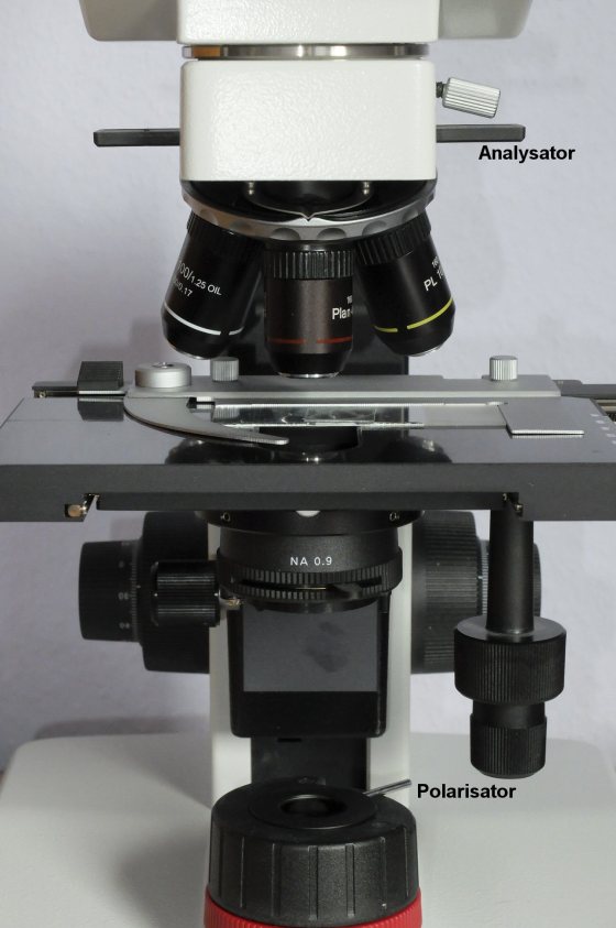 Polarisationsmikroskop