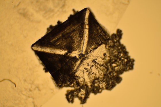 Kochsalz ohne Filter