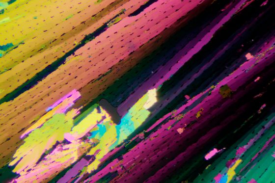 151219_0001hdi_blogAnd2more_Photographic