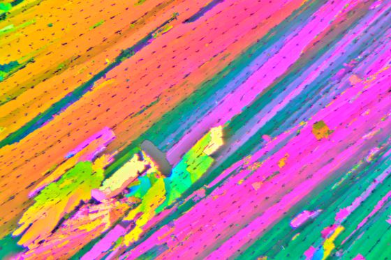 151219_0001hdi_blogAnd2more_Creative 3