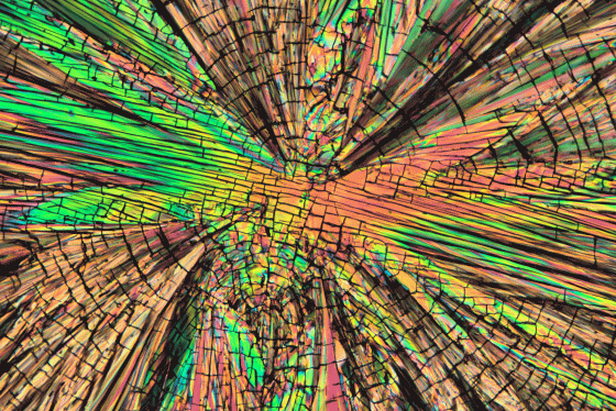 Naproxen, isoliert aus einer Tablette. Kristallisation aus der Schmelze.