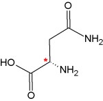 L-Asparagin
