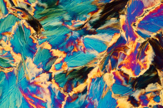 20% L-Asparagin 80% Harnstaff