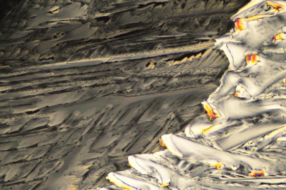 Brenzcatechin im liear polarisierten Licht.