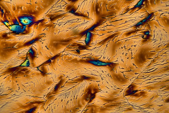 Brenzcatechin im polarisierten Licht mit λ/4-Plättchen.
