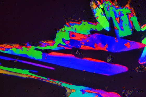 160804_0018hdr_Localtone