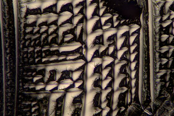 L-Weinsäure fotografiert im polarisierten Licht ohne L/Plättchen.