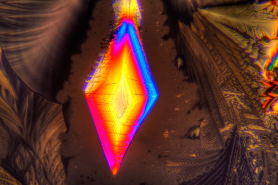 Asparaginsäure fotografiert im polarisierten Licht. Vergrößerung 100x.