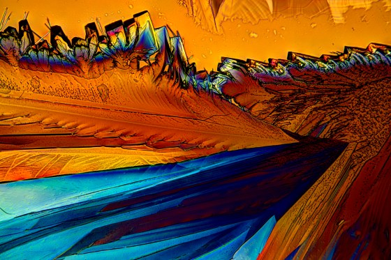 Asparaginsäure fotografiert im polarisierten Licht. Vergrößerung 100x.
