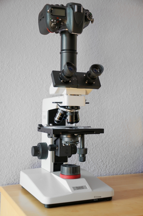 Labormikroskop Hund H 600