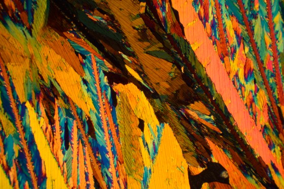 Hund H600 Okular 10x Planchromatisches Objektiv 4x