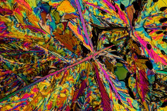 Äpfelsäure- Racemat Mikrokristalle aus der Schmelze.